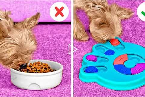 Must-Have Gadgets For Your Pets