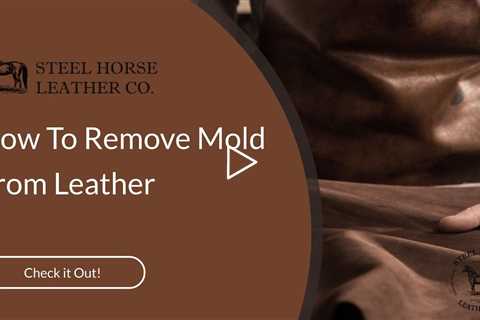 How To Remove Mold From Leather