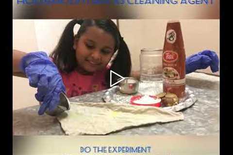Le Panache-Little Scientist @Work | Household items as cleaning agents | Science Experiment for Kids