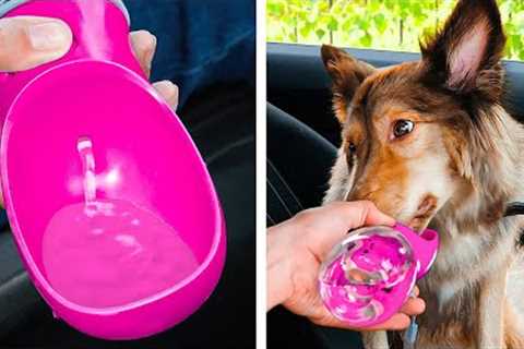 Cool Dog Gadgets And Lovely Crafts For Cats 🐈🐕 Genius Pet Hacks That Will Make Your Life Easier