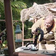 See What Happens When a Disney Jungle Cruise Boat Just STOPS WORKING